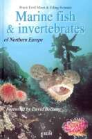 Marine fish & invertebrates