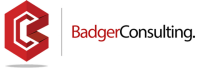 Badger consulting