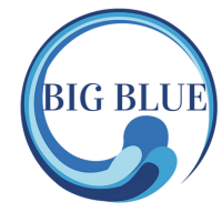 Big Blue Marketing Consultancies