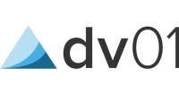 Dv01 funds management