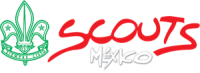 Mexican scout association