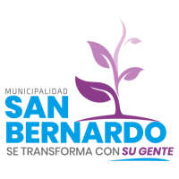 Ilustre municipalidad de san bernardo