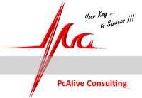 Pcalive consulting