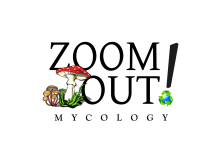 Sustainable mycology