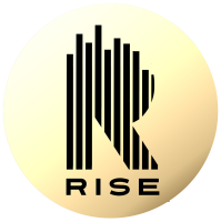 Rise academy private limited