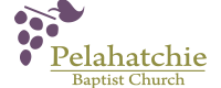 Pelahatchie baptist church